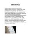 Fenoplast