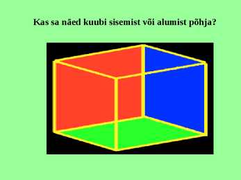 Optilised illusioonid #12