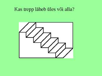 Optilised illusioonid #14