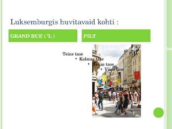 Luksemburgi suurhertsogriik #13
