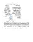 Medicid #3