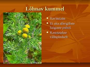 Taimede kasutamine #2