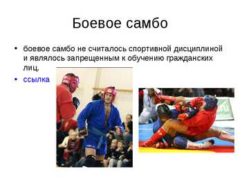 Sambo #5