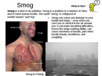 Air pollution #5