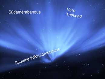 Südame töö ja trenni mõju sellele #10