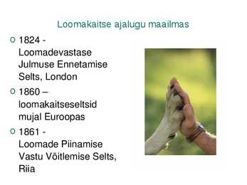 Kodutute loomade varjupaigad eestis #3