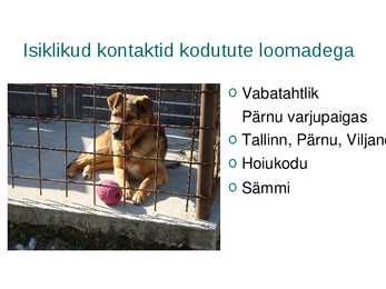Kodutute loomade varjupaigad eestis #8