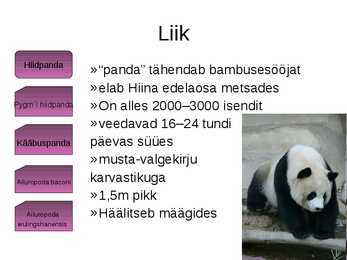 Panda süstemaatiline kuuluvus #8