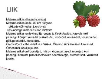 Metsmaasika süstemaatiline jaotus #9