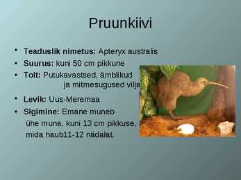Lennuvõimetud linnud #2