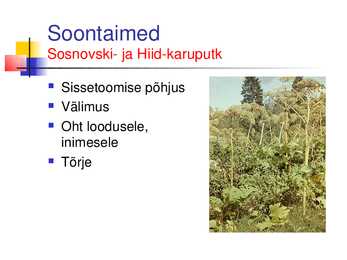 Musta raamatu esitlus #3