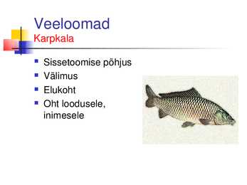 Musta raamatu esitlus #4