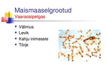 Musta raamatu esitlus #5