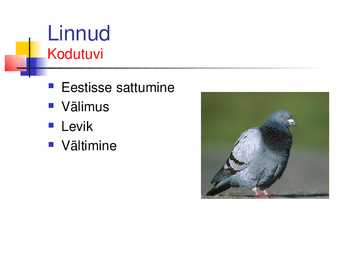 Musta raamatu esitlus #6