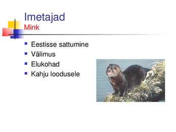 Musta raamatu esitlus #7