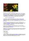 Bob Marley #4