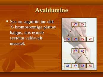 Värvipimedus #4