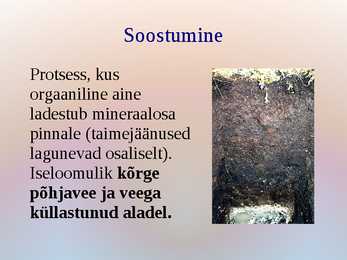 Mullaprotsessid #11