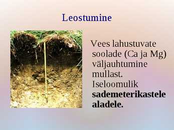 Mullaprotsessid #13