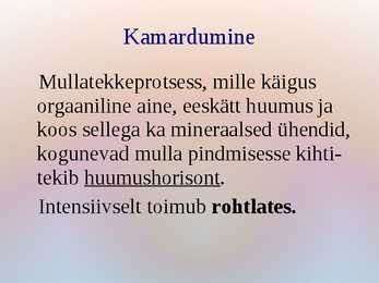 Mullaprotsessid #5