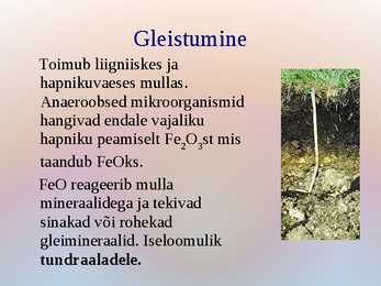 Mullaprotsessid #7