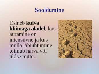 Mullaprotsessid #10