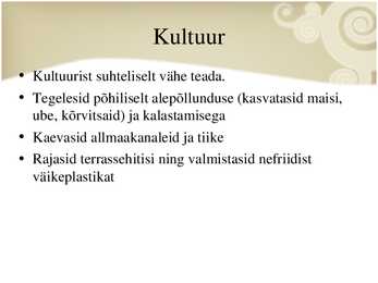 Ameerika põliskultuurid #5