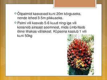 Õlikultuurid #12