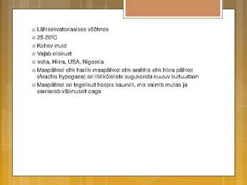 Õlikultuurid #6