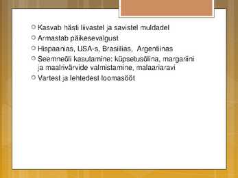 Õlikultuurid #9