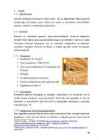 SOOJUSISOLATSIOONIMATERJAL KIVIVILL #10