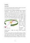Ernest Rutherford #6