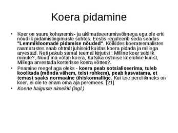 Koer #9