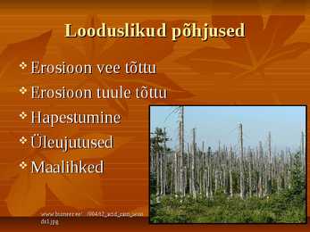Mullastiku hävinemine #2