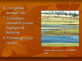 Mullastiku hävinemine #9