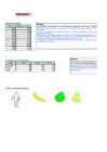 Statistika kodune ülesanne Prax2a-diagrammid #22