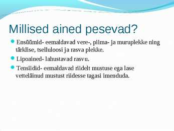 Pesupulbrid #3