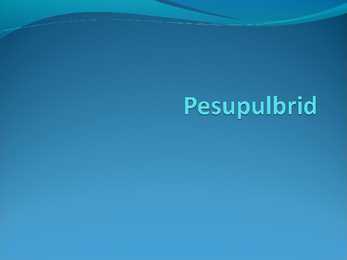 Pesupulbrid