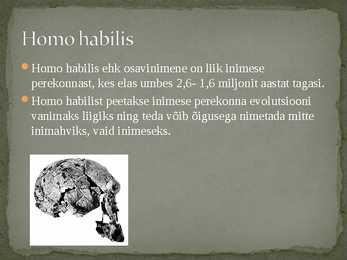 Homo Habilis #2