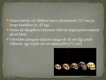 Homo Habilis #4