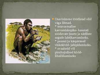 Homo Habilis #6