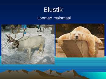 Powerpoint Gröönimaast #15