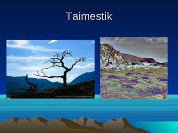 Powerpoint Gröönimaast #18