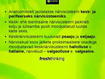 Inimese Närvisüsteem #2