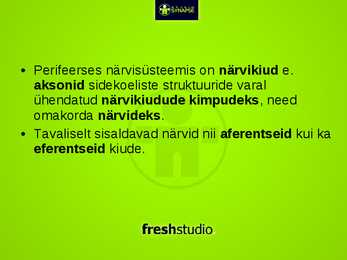 Inimese Närvisüsteem #3