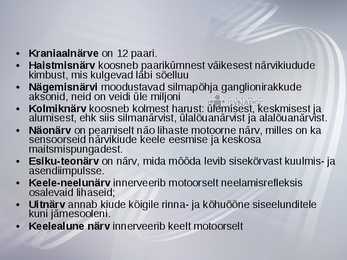 Inimese Närvisüsteem #4