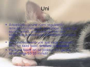 Inimese Närvisüsteem #9