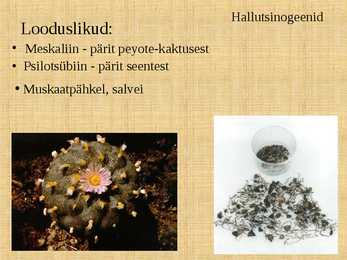 Narkootikumid #25