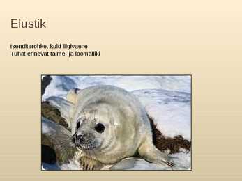 Läänemeri #5