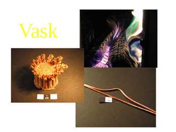 Vask - selle kasutusalad-leidumine looduses jne